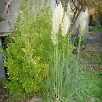 Les Aubettes