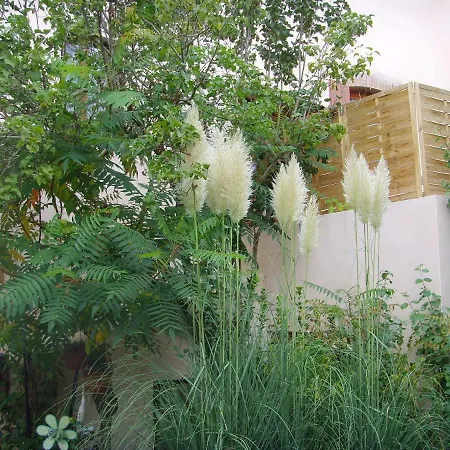 Les Aubettes * Jumeaux