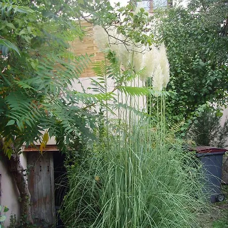 Les Aubettes Apartment *